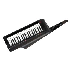KORG RK-100S 2BK Keytar Sort